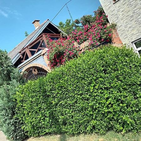 Apartman Vrdnicak فردنيك المظهر الخارجي الصورة
