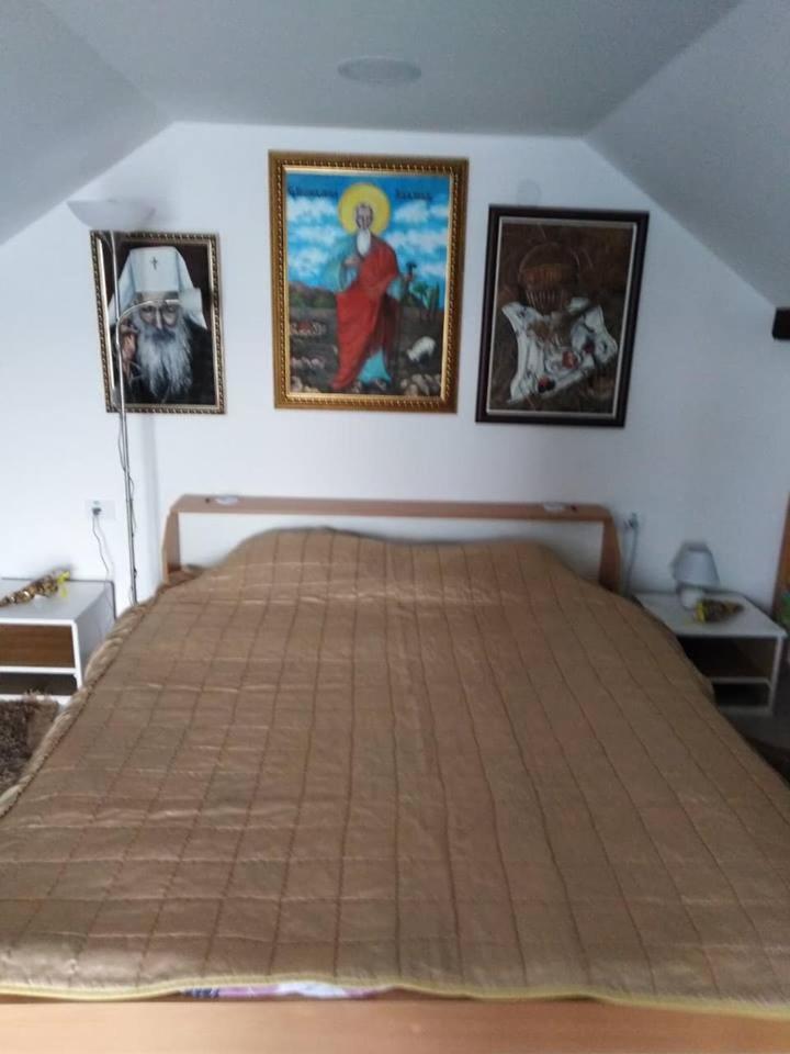 Apartman Vrdnicak فردنيك المظهر الخارجي الصورة